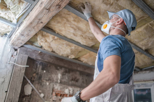 Best Eco-Friendly Insulation in North Wildwood, NJ